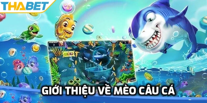 Giới thiệu về mèo câu cá